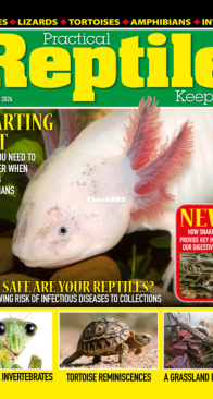 Practical Reptile Keeping 12.2024 - English