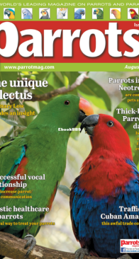 Parrots - Issue 331 - 08.2025 - English