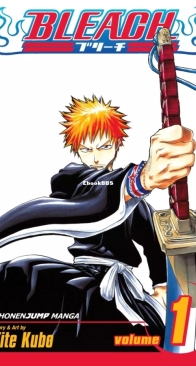 Bleach Colored 01 (of 74) - Viz 2004 - Tite Kubo - English