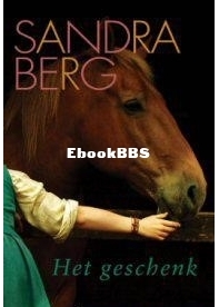 Het Geschenk - Sandra Berg - Dutch