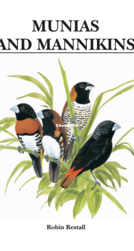 Munias And Mannikins - Helm Identification Guide - Robin Restall - English