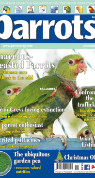 Parrots - Issue 298 - 11.2022 - English