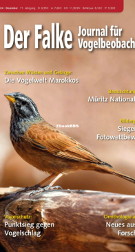 Der Falke – 12.2024 - German