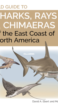 Field Guide to Sharks, Rays & Chimaeras of Europe and the Mediterranean - David A. Ebert, Marc Dando - English