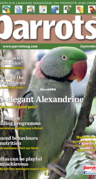Parrots - Issue 320 - 09.2024 - English