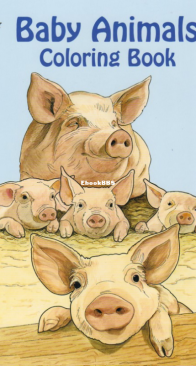 Baby Animals - Dover Coloring Book - English