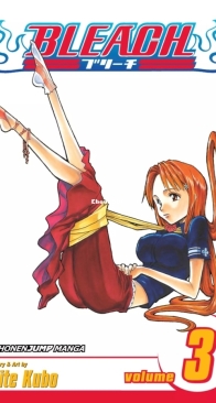 Bleach Colored 03 (of 74) - Viz 2004 - Tite Kubo - English