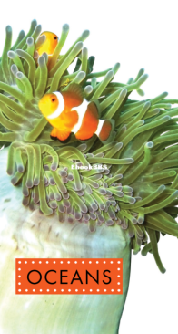 Oceans (Spot Awesome Nature) - K.C. Kelley - English