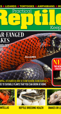 Practical Reptile Keeping 05.2025 - English