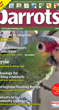 Parrots - Issue 317 - 06.2024 - English