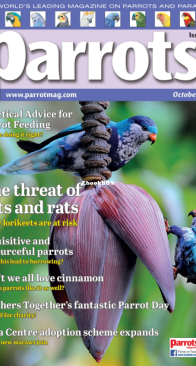 Parrots - Issue 321 - 10.2024 - English