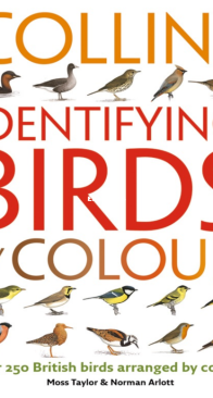 Identifying Birds by Colour - Collins Guide - Moss Taylor - English