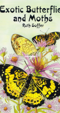 Exotic Butterflies and Moths - Dover Coloring Book - English