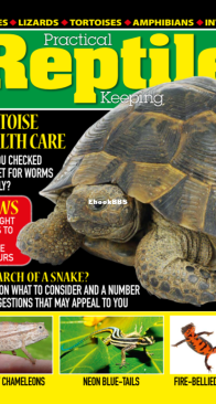 Practical Reptile Keeping 04.2022 - English