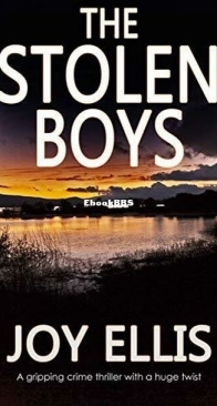 The Stolen Boys - Jackman & Evans 5 - Joy Ellis - English