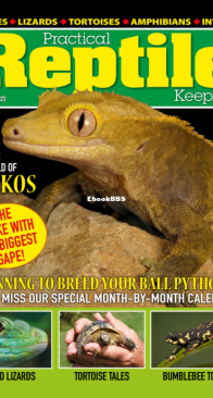 Practical Reptile Keeping 08.2023 - English