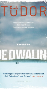 De Dwaling - C.J Tudor - Dutch