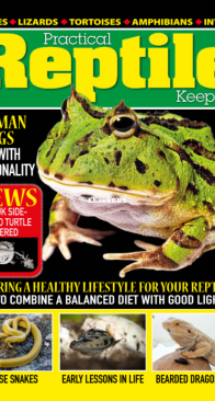 Practical Reptile Keeping 06.2023 - English