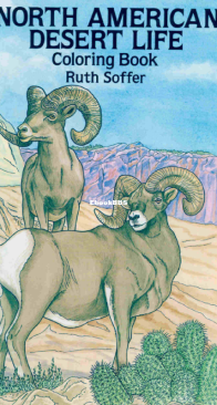North American Desert Life - Dover Coloring Book - English