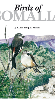 Birds of Somalia - Helm Field Guides - John Ash, John Miskell - English