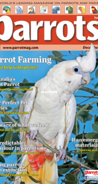 Parrots - Issue 323 - 12.2024 - English