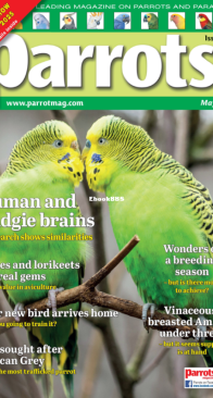 Parrots- Issue 328 -  05.2025 - English