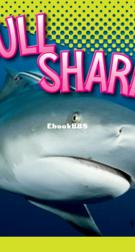 World of Sharks - Bull Sharks - Marysa Storm - English