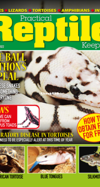 Practical Reptile Keeping 02.2022 - English