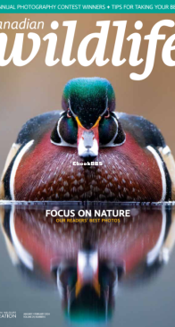 Canadian Wildlife 01-02. 2024 - English