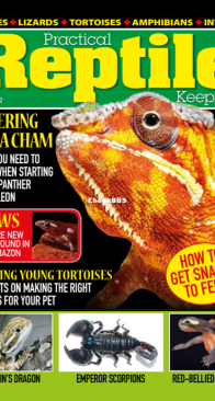 Practical Reptile Keeping 03.2022 - English