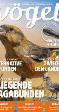 Vögel - Issue 79 – 3.2024 - German