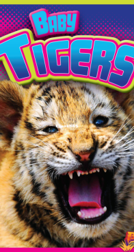 Adorable Animals - Baby Tigers - Barbara Shaffers - English