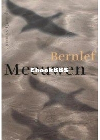 Meeuwen - J. (Jan) Bernlef - Dutch